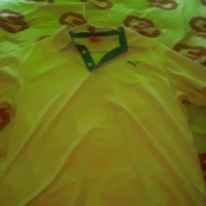 A fancy puma button up